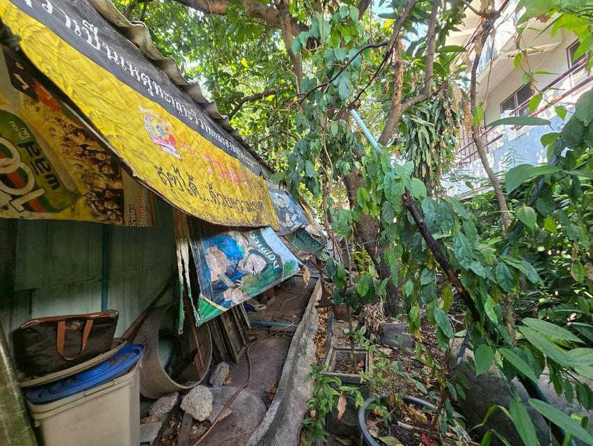 ขายบ้านไม้ 2 ชั้น ทำเลดี เหมาะลงทุน ใกล้ APL รามคำแหง (N.2011) 10