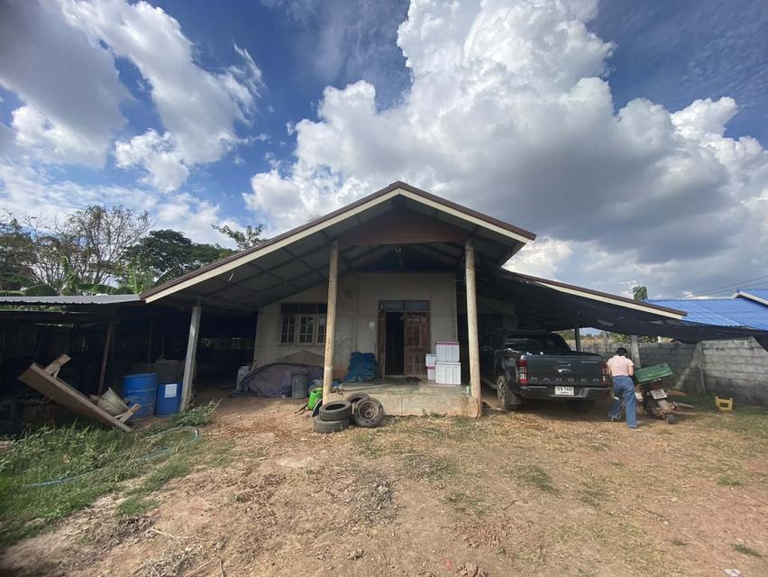 ขายบ้านเดี่ยวพร้อมที่ดิน เนื้อที่ 183 ตร.ว. บ้านนาคลอง อ.เมือง จ.หนองคาย 7