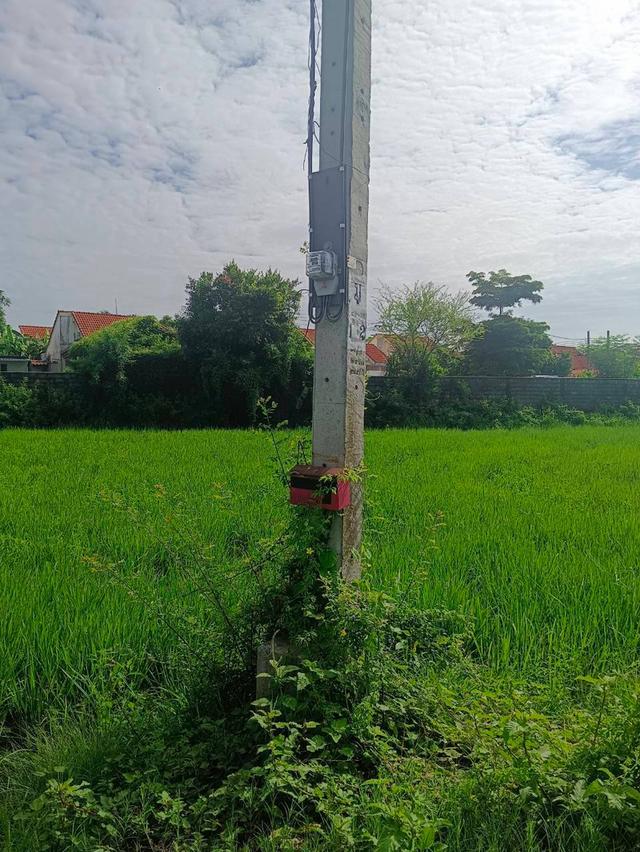 ที่ดินว่างเปล่า เนื้อที่ 136.6 ตรว. แขวงโคกแฝด เขตหนองจอก จังหวัดกรุงเทพ 12