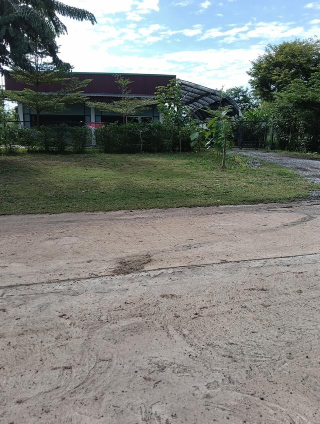 ที่ดินพร้อมโรงงาน+ห้องเย็น+โรงปลูกผักออแกนิค 2