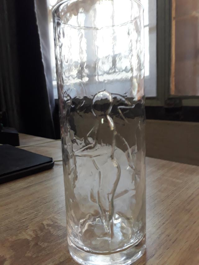 แก้ววินเทจ libbey รุ่น la femme l homme