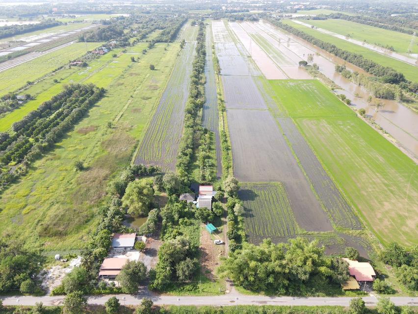 ขายที่ดินหนองแคผ่อนได้เนื้อที่ 200 ตรว. ทำเลดีคลอง13 ใกล้ตลาดสดหนองแค-5กม. จ.สระบุรี 7