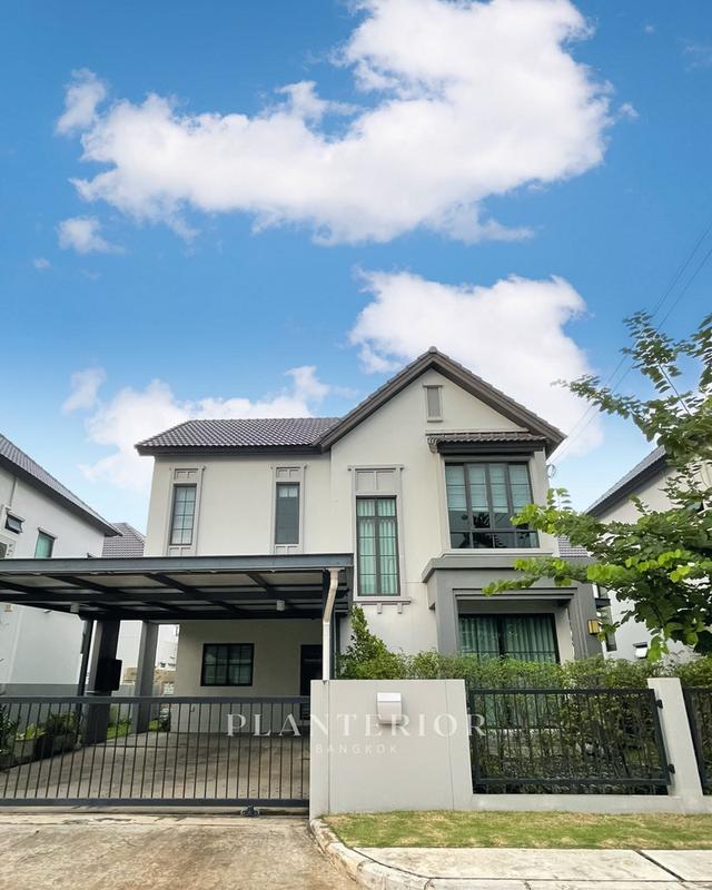 บ้านรามคำแหง 59,000 ให้เช่าเดี่ยว 2 ชั้น  50 ตรว 3 นอน 3 น้ำ 1 ห้องทำงาน  1