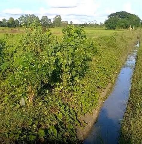 ที่ดิน ขายที่ดินทุ่งนา บ้านนาเพียง ต.สำราญ อ.เมืองขอนแก่น จ.ขอนแก่น ทำเลคุณภาพ ทุ่งนากว้างขวาง มีน้ำ ไฟ และถนนเข้าถึง 1