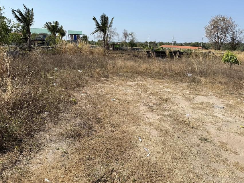 ขายที่ดินหนองปลาไหลถมแล้ว 100 ตรว. ซอยเทพนิมิตร3 ใกล้ถ.กระทิงลาย-ปลวกเกตุ36-4กม. อ.บางละมุง จ.ชลบุรี 4