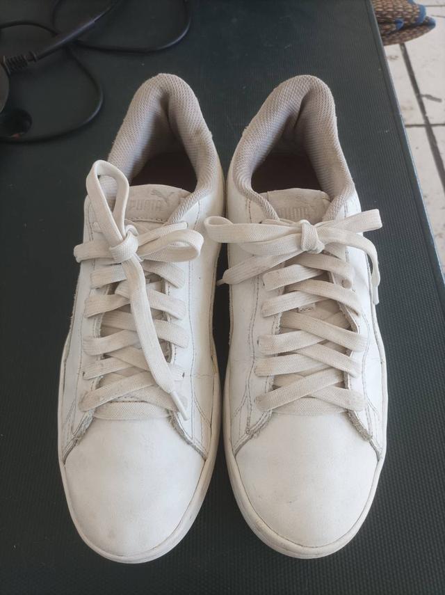 รองเท้าผ้าใบ มีแบรนด์ มือสอง 50-499บาท