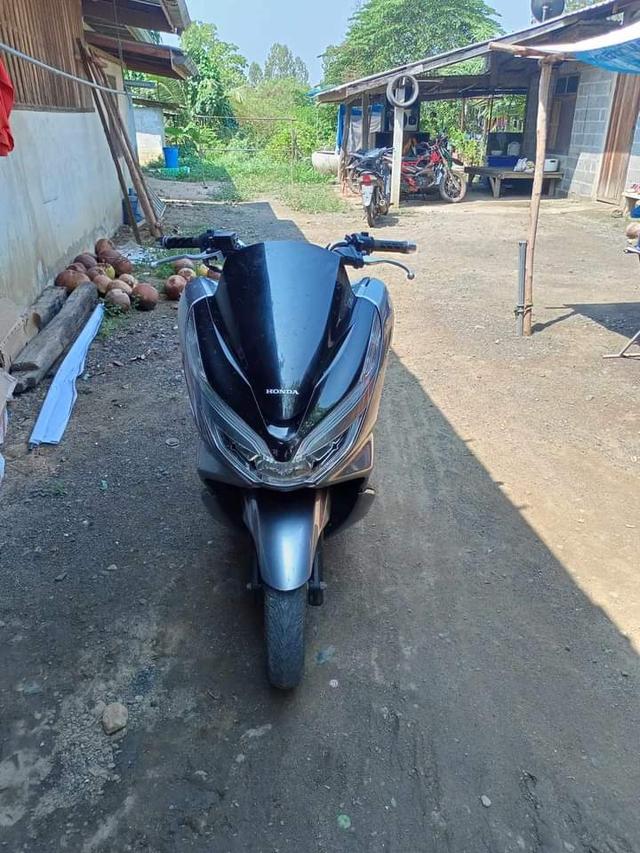 Honda pcx สีเทา 4