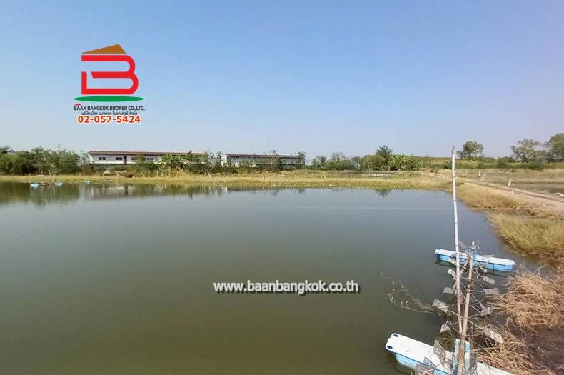 ที่ดิน ซอยโรงหลวง (ใกล้ห้างตะวันออกคอมเพล็กซ์) เนื้อที่ 9 ไร่ 1 งาน 67 ตรว. ตำบลหนองตีนนก อำเภอบ้านโพธิ์ ฉะเชิงเทรา 7