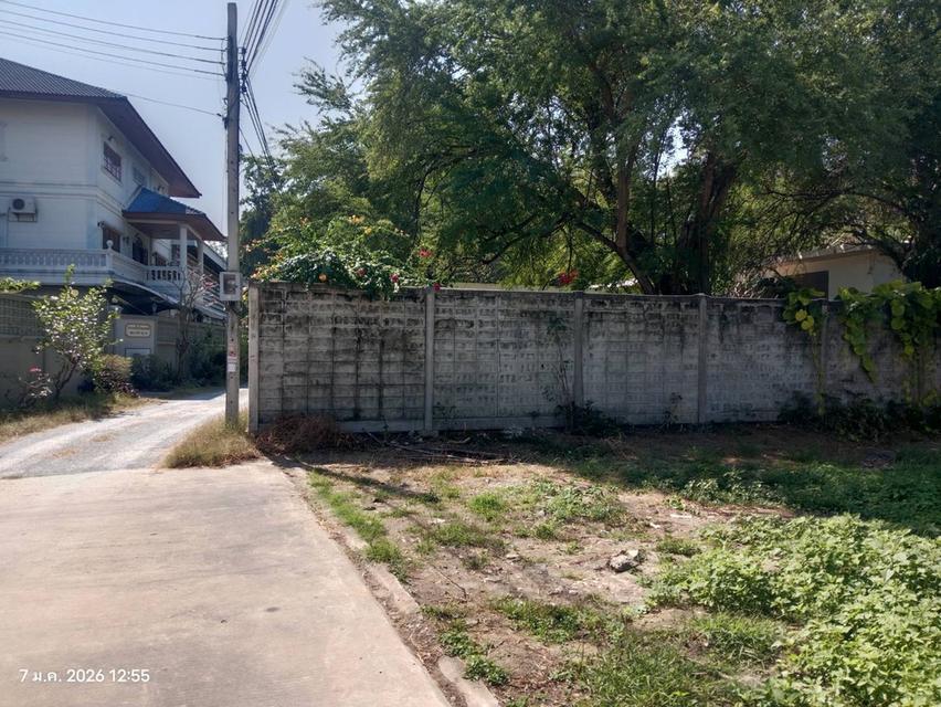 ขายที่ดิน 78 ตารางวา 1