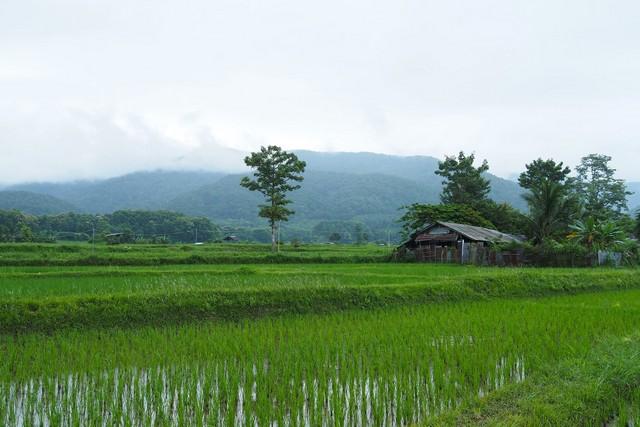 ที่ดินแปลงสวย...วิวดอยภูคา...ใกล้แหล่งท่องเที่ยวชื่อดัง ...อ.ปัว 2