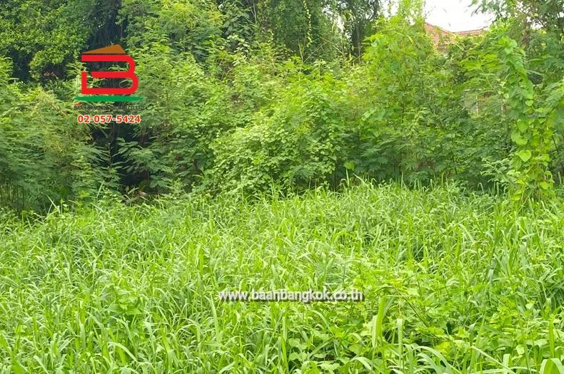 ที่ดินเปล่า พหลโยธิน 35 (ซอยท่านผู้หญิงพหลฯ) เนื้อที่ 104 ตรว. ถนนพหลโยธิน แขวงลาดยาว เขตจตุจักร กรุงเทพมหานคร