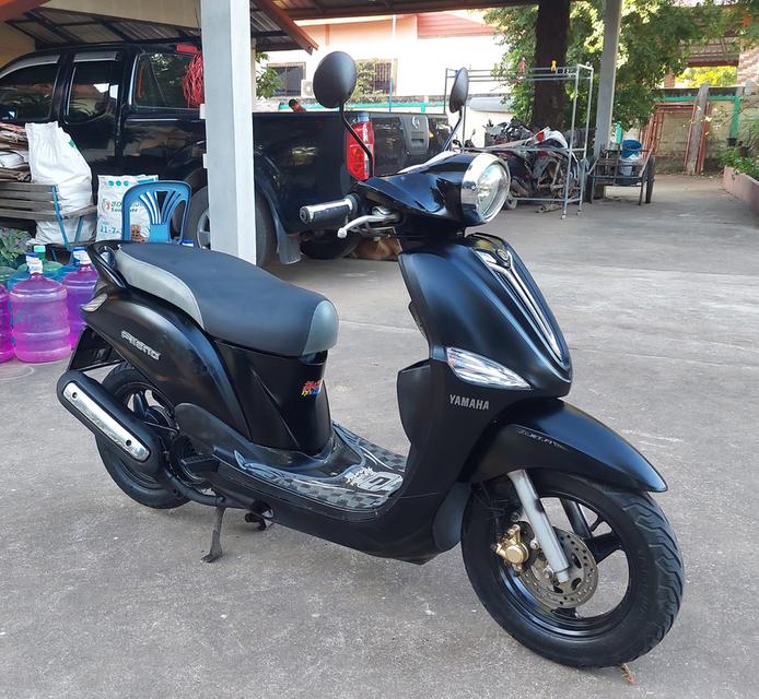 ฟีลาโน่ filano ฟีลาโน่