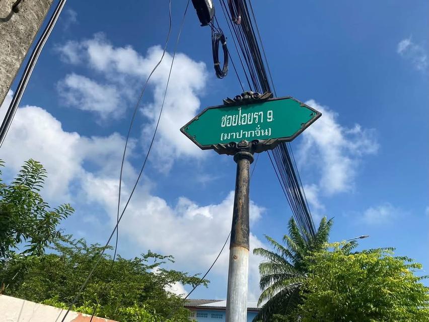 ขายด่วนที่ดินใกล้ตลาดไท 100 ตารางวา ติดถนนคอนกรีตสาธารณะ ซอย ไอยรา 9 อ.คลองหลวง จ.ปทุมธานี 2