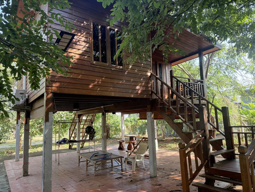 ที่ดิน 9ไร่ 1งาน 38ตารางวา สวนผลไม้ พร้อมบ้าน และสิ่งปลูกสร้าง 1