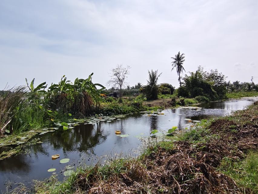 ขายที่ดินเปล่าติดถนน มีน้ำไฟ 4