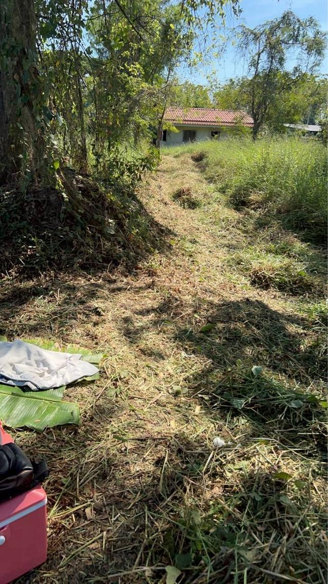 ขายที่ดินเปล่า ชุมชนสวนอ้อย ซอย3 หนองแค สระบุรี 2