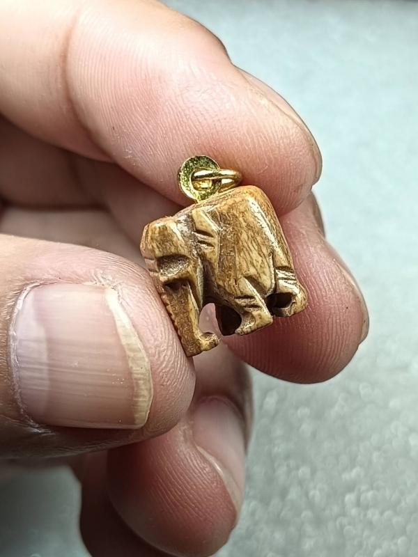 ช้างกระดูกแกะ หลวงพ่อพยุง วัดบัลลังก์ อ.หนองหญ้าไซ จ.สุพรรณบุรี ครับ