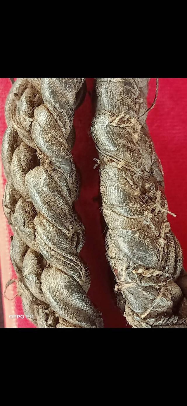 เชือกคาดเอว หลวงพ่อโชติ วัดตะโน กทม. 3