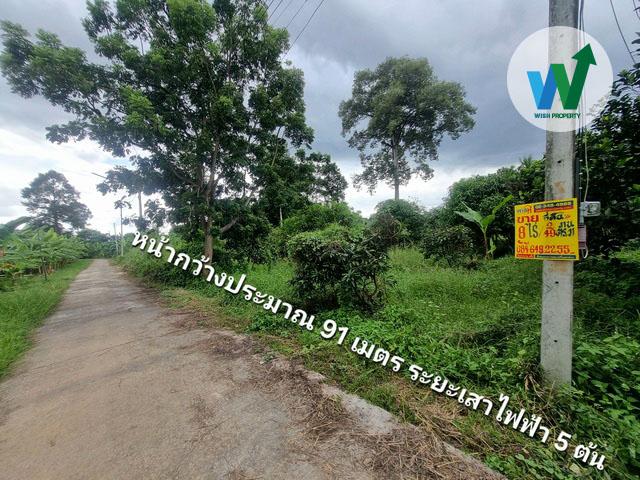 ขายที่ดินแปลงใหญ่ ศิลาดาน มโนรมย์ ชัยนาท 8ไร่ 2 งาน 49 ตร.ว. มีน้ำไฟพร้อม ใกล้ถนนพหลโยธิน