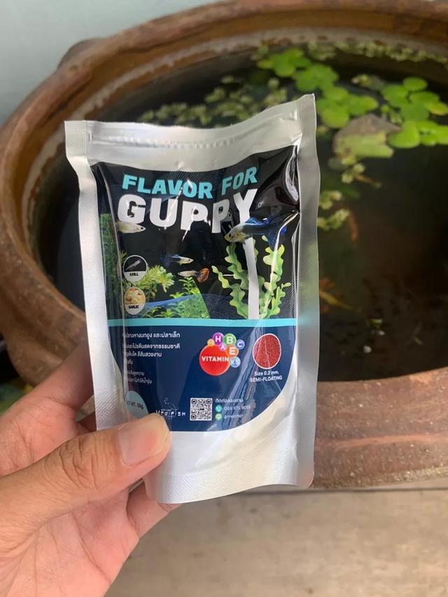 FLAVOR FOR GUPPY  อาหารปลาหางนกยูง