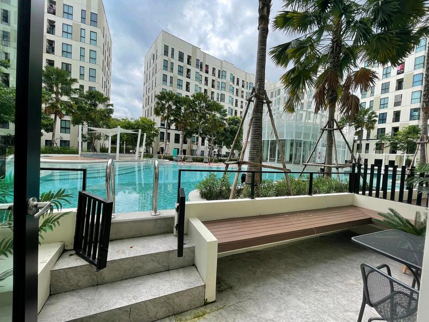 ขาย/ให้เช่า คอนโด ยูนิโอ สุขุมวิท 72 ห้อง Duplex แบบ Pool Access ขนาด 70.5 ตร.ม. บรรยากาศเหมือนอยู่รีสอร์ท ใกล้บีทีเอสแบริ่ง 8