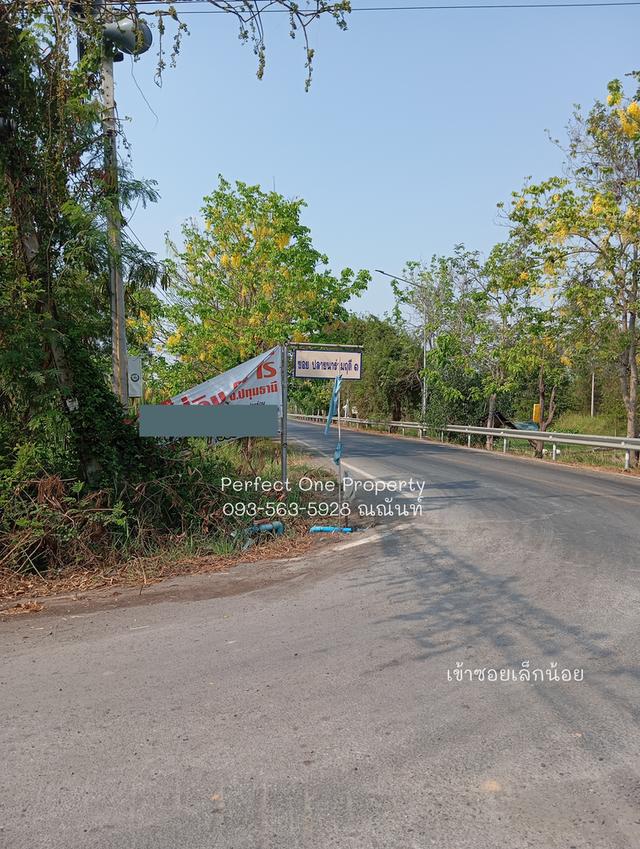 ขายที่ดิน เลียบคลอง 11 อ.หนองเสือ จ.ปทุมธานี 5