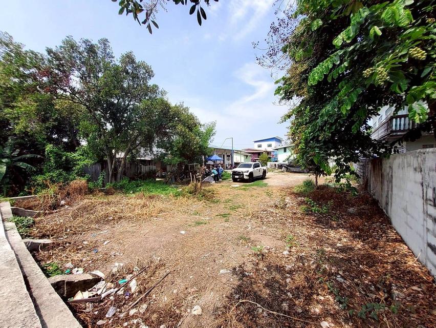 ขายที่ดินใกล้วัดเสด็จ 73 ตรว ติดถนนคอนกรีต ด้านข้างติดคลอง ซ.บ้านลาน สวนพริกไทย เมืองปทุมธานี 4