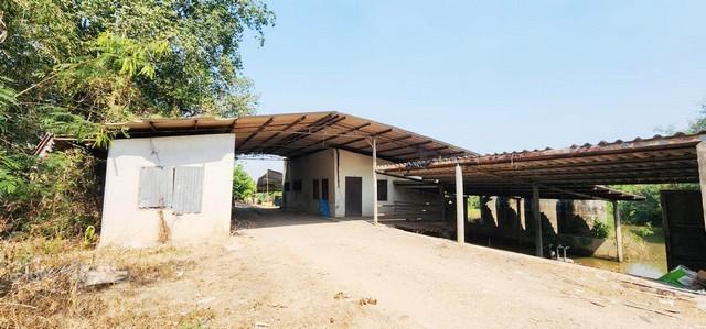 ที่ดิน ติดถนน 1052 ต.หนองโรง อ.หนองแค จ.สระบุรี ที่ตั้ง :ต.หนองโรง อ.หนองแค จ.สระบุรี 6