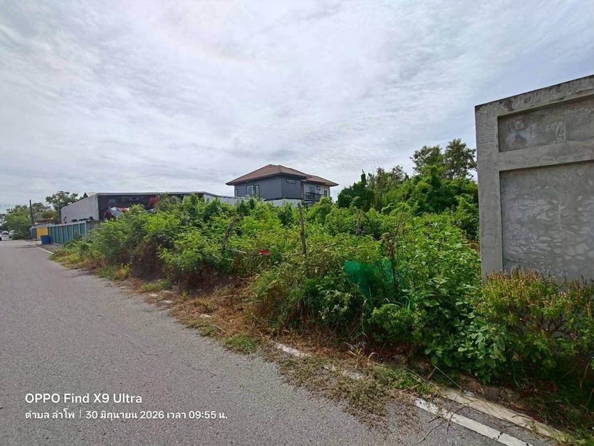 ขายด่วนที่ดิน 200 ตรว ติดถนนลาดยางสาธารณะ ลำโพ บางบัวทอง นนทบุรี 3