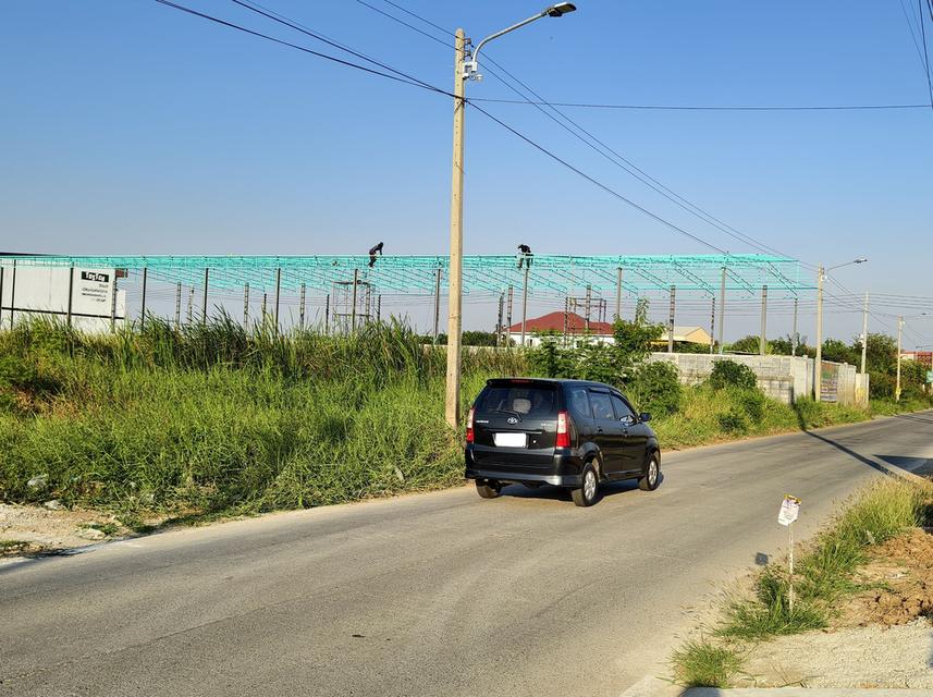 ขายโกดัง แปลงใหญ่ 1000 ตรม. (3 แปลงแบ่งขายได้) ตรงข้ามตลาดบึงบัว รังสิต คลอง4 ใกล้ โรงเรียนสวนกุหลาบรังสิต 2