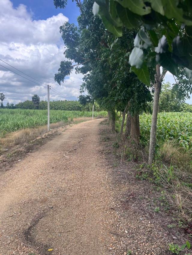 ขายที่ดิน 1 ไร่ อ.กำแพงแสน นครปฐม 4
