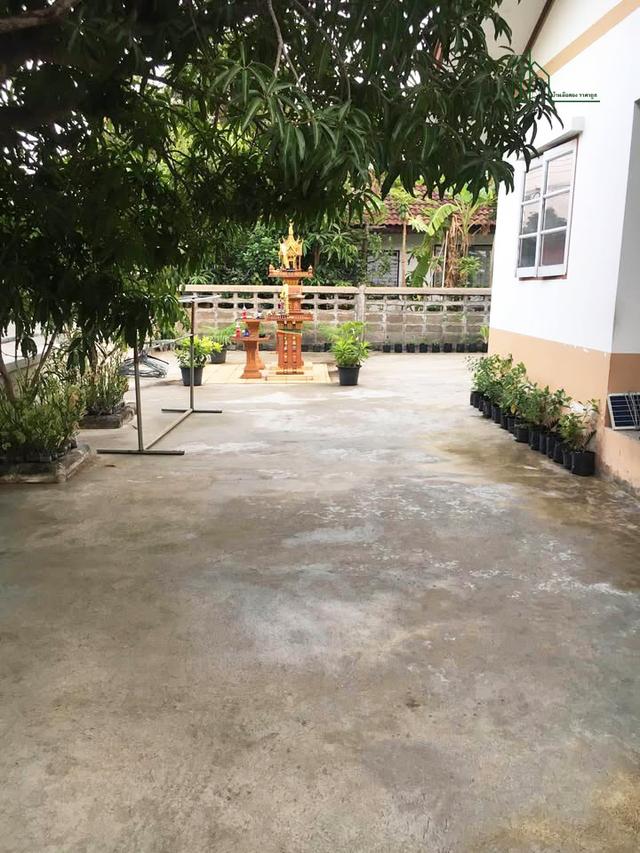 บ้านเดี่ยว ชั้นเดี่ยว หมู่บ้านมีนบุรีการ์เด้นโฮม ราษฎร์อุทิศ 48 มีนบุรี 8