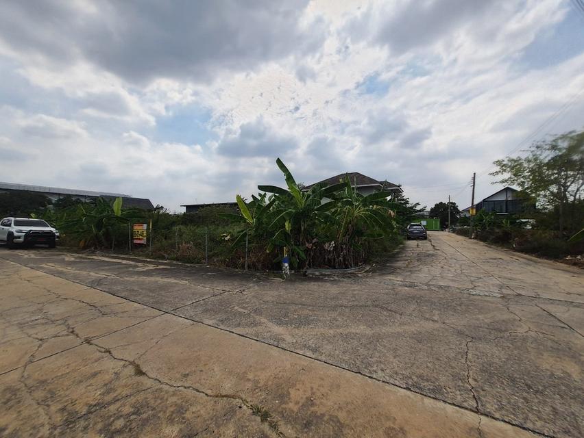 ที่ดิน 6