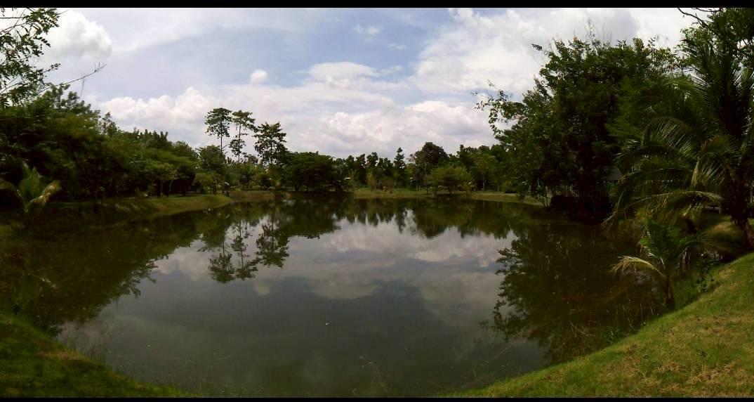 ที่ดินสวยราคาถูก เขาฉกรรจ์ สระแก้ว 4