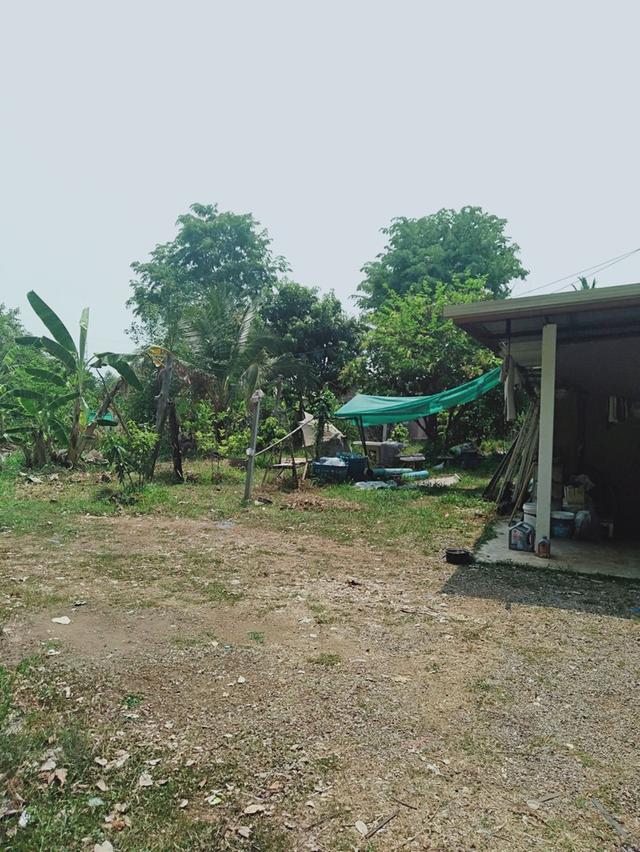 โฉนดที่ดินบ้านสวน ใกล้ตัวเมือง 7