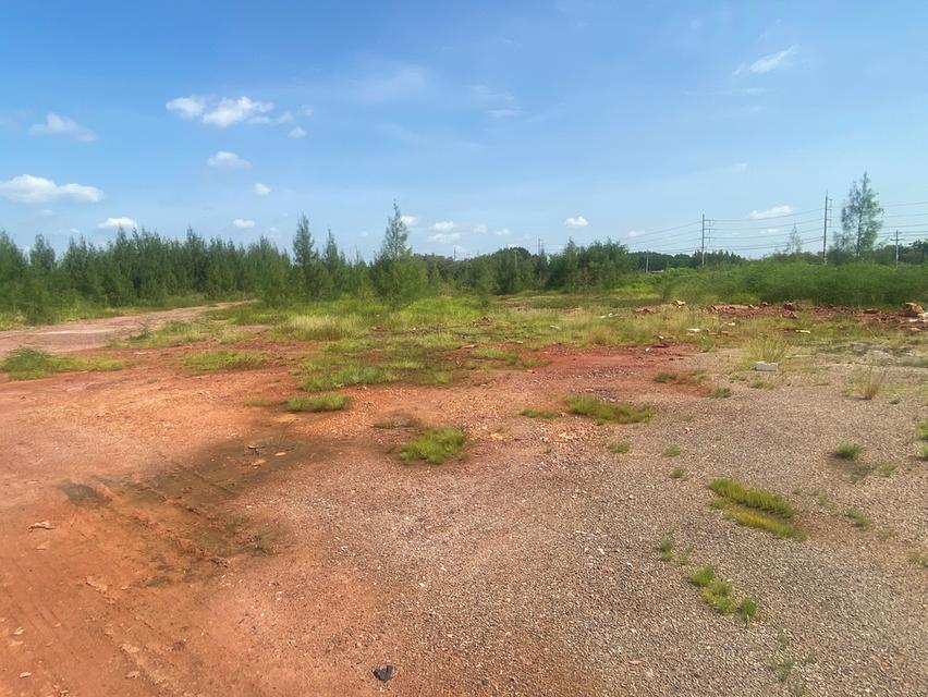 ขายที่ดินแม่กลอง แปลง 16 ไร่ 3 งาน 21 ตรว 6