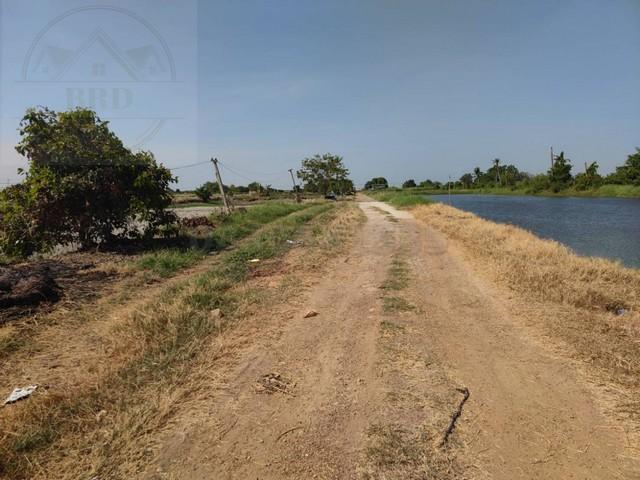 ขายที่ดินทำเลสร้างโกดัง โซนนิคมเอเชียสุวรรณภูมิ – บางบ่อ สมุทรปราการ เนื้อที่ 2 ไร่ ขายไร่ละ 2.5 ล้าน อ.บางบ่อ สมุทรปราการ 6