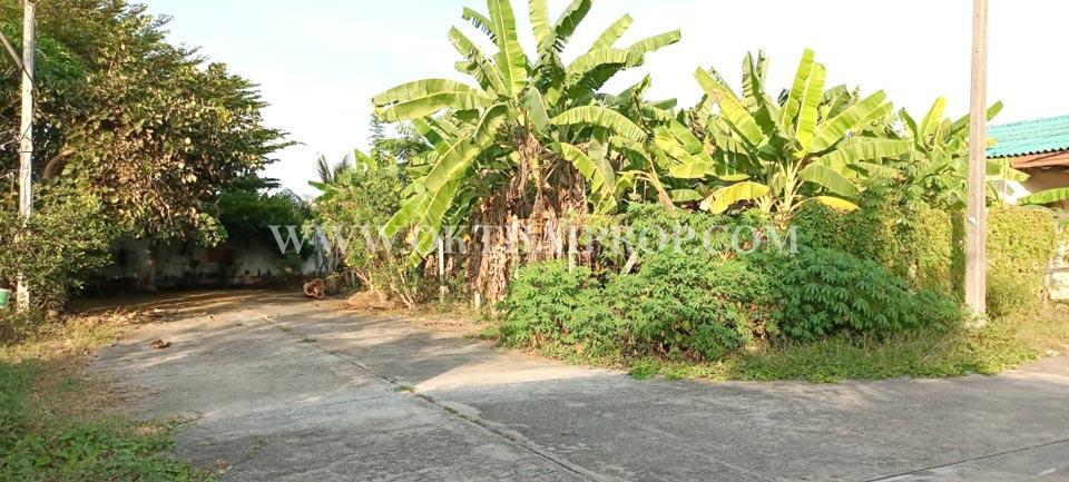 ที่ดินแปลงมุมถมแล้ว ถ.พุทธมณฑลสาย7 สามพราน นครปฐม 1