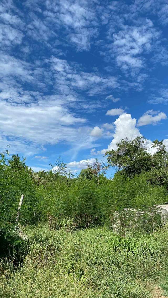 ขายที่ดินเปล่า ทำเลดี  ต.หนองกุ่ม อ.บ่อพลอย จ.กาญจนบุรี 2