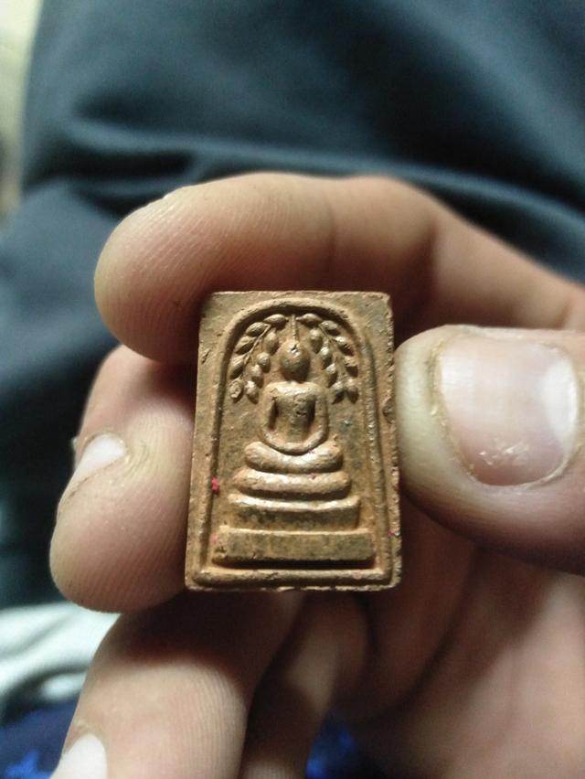 สมเด็จ​ปกโพธิ์​หลังยัน5