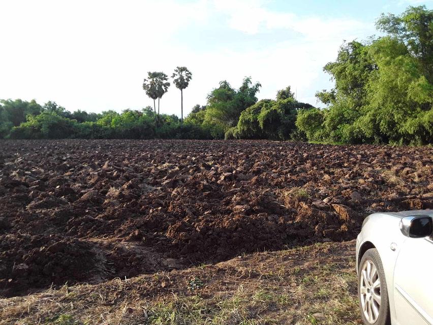 ที่ดินลพบุรี อ.ชัยบาดาล 2