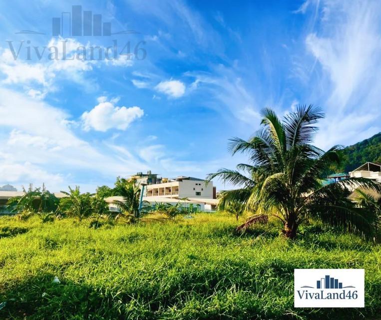 ที่ดินผืนใหญ่ ใจกลางป่าตอง 3