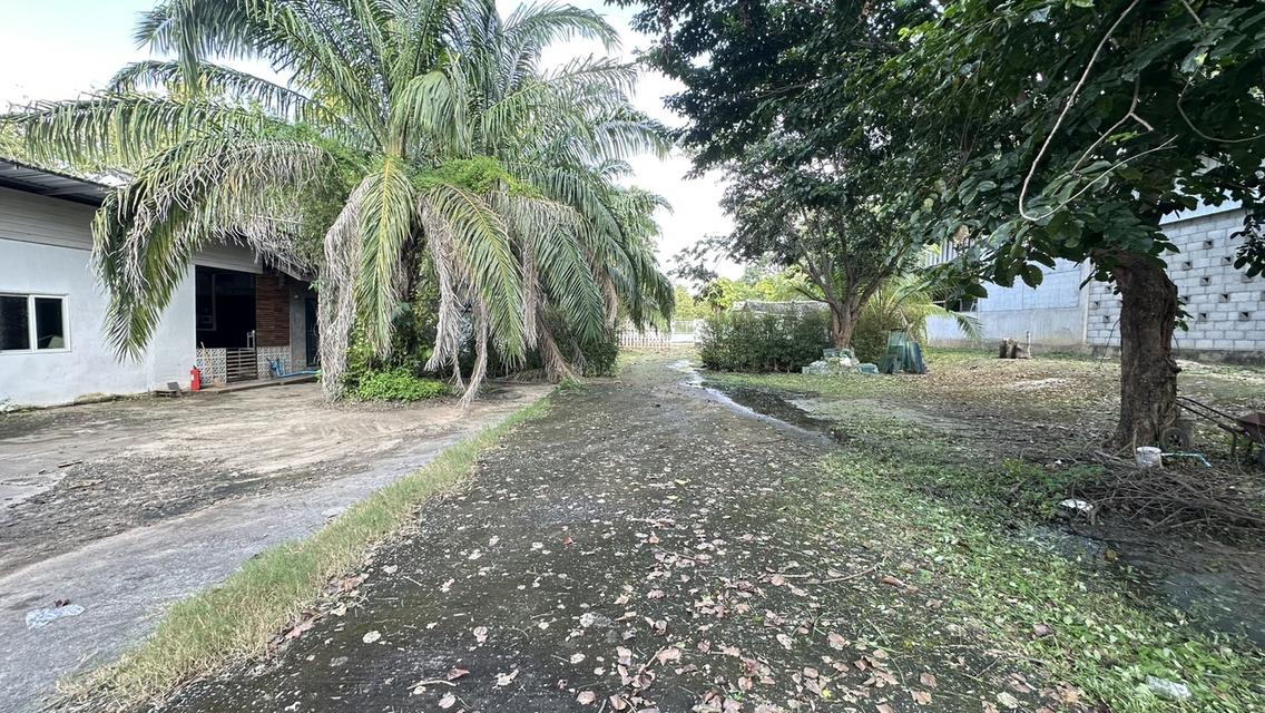 ขายบ้านพร้อมกิจการร้านกาแฟ ห้องพักออนเซน บนเนื้อที่ 4 ไร่ 6