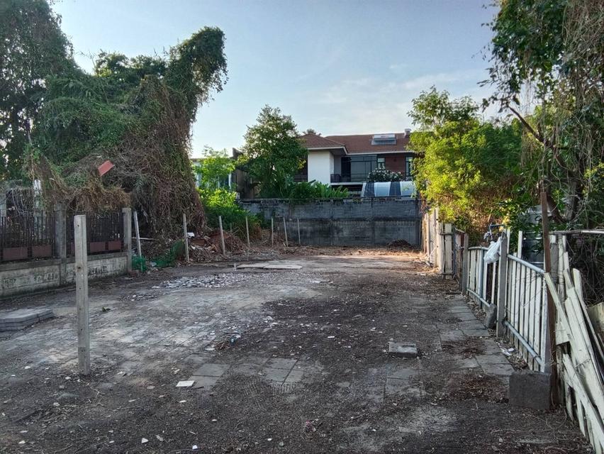 ด่วน ขายถูกที่ดินสุขุมวิท60/1 บางจาก 197ตร.ว ใกล้ BTSบางจาก ทางด่วนสุขุมวิท62 ใกล้ห้างโลตัส เข้าเมืองไปเอกมัย ทองหล่อ ไปบางนาตราดก็สะดวก 0879074045 2