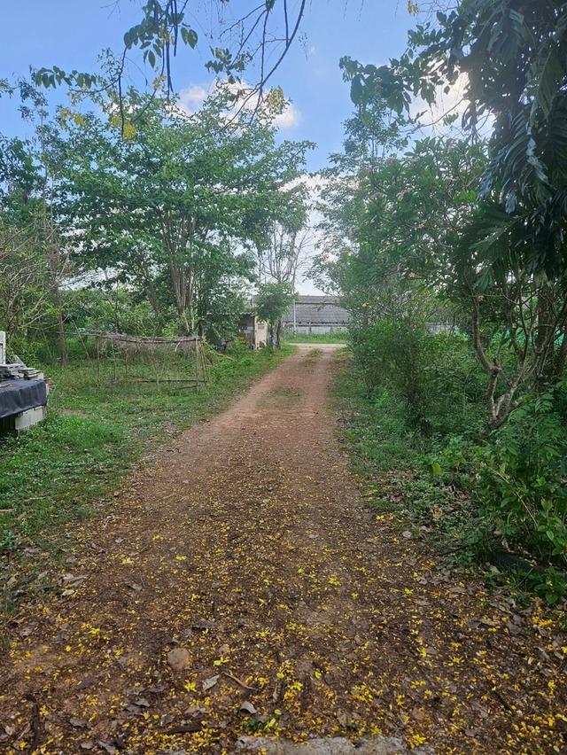 ขายบ้านพร้อมที่ดิน 4