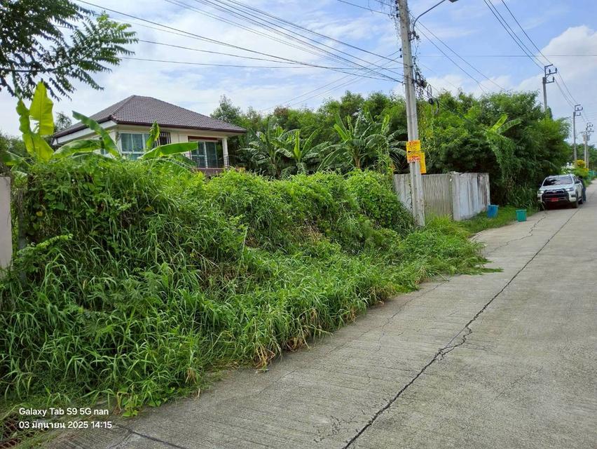 ขายที่ดินพุทธมณฑลสายสอง 113 ตรว ติดถนนคอนกรีตสาธารณะ ถมแล้ว  ซ.11 ภาษีเจริญ กทม. 4