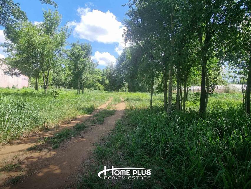 🌳 ขายที่ดิน 1 ไร่ 57.4 ตร.ว. ถนนบ้านไร่ หนองสาหร่าย ปากช่อง ใกล้วัดหนองสาหร่าย 2