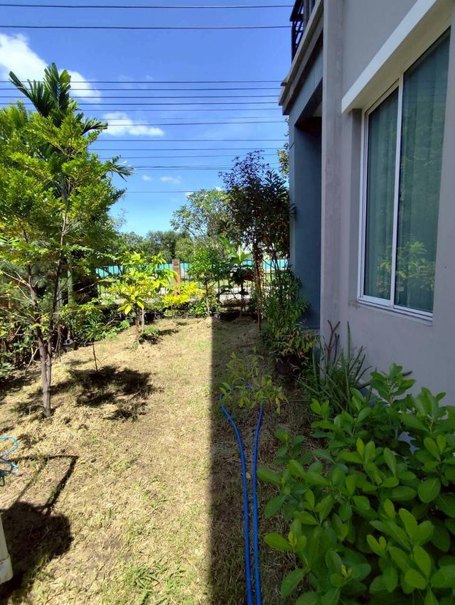 บ้านมิอสอง เดอะแพลนท์ อยุธยา 6