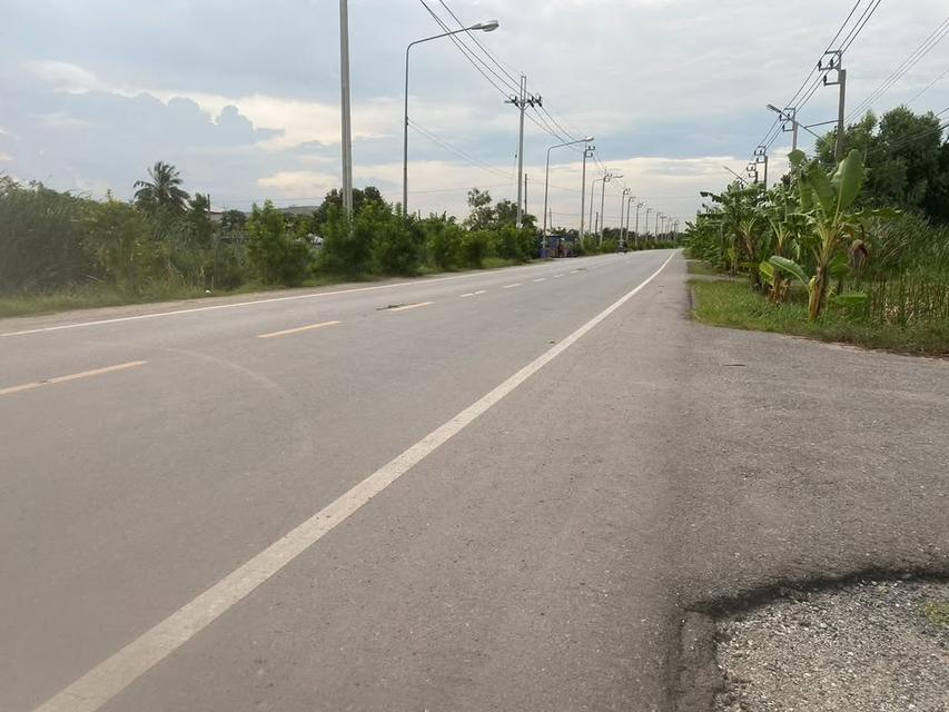 ขายที่ดินเปล่า ติดถนนใหญ่ 2