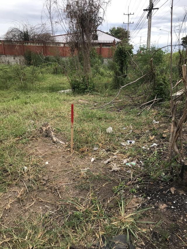 ขายที่ดินแปลงสวย ทำเลดี ติดถนนใหญ่ ตรงข้ามกับบริษัท ฟู่เซิง จำกัด อำเภอดอยหล่อ-จอมทองจังหวัเชียงใหม่ เนื้อที่ 1ไร่สวยรูปสี่เหลี่ยมหน้ากว้าง20เมตร 9